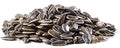 Tambovsky Volk XXL Roasted Sunflower Seeds 400g Pack of 4