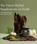 Gaia Herbs Lion'S Mane & Turmeric Powder Herbal Mushroom Supplement Powder To Help Maintain Brain Health And Recall Usda Organic3.53 Oz (Up To 45Day Supply)