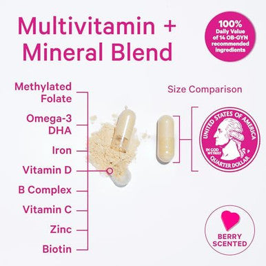 Pink Stork First Trimester Essentials Supplement Bundle Total Prenatal Vitamin + Dha And B6 Ginger Electrolyte Capsule For Morning Sickness Pregnancy Must Have