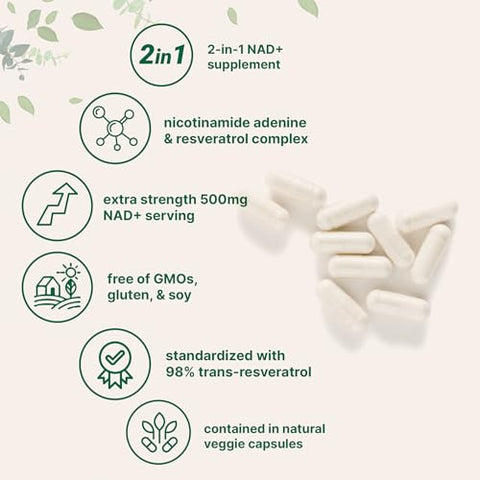 Micro Ingredients Nad 500Mg With Resveratrol 240 Veggie Capsules 2-In-1 Nad Supplement For Women & Men Nmn Pathway Alternative Non-Gmo Gluten Free