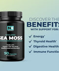 Irish Sea Moss Capsules with Organic Irish Moss 300mg Burdock Root and 500mg Bladderwrack Powder 45Day Supply 1300mg Complex Provides Iodine for Thyroid and Immune Support 90 Veggie Pills