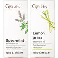 Gya Labs Spearmint Essential Oil For Diffuser & Lemongrass Essential Oil For Diffuser Set - Aromatherapy Grade Essential Oils Set - 2X0.34 Fl Oz - Gya Labs