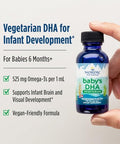 Nordic Naturals Baby S Dha Vegetarian Unflavored - 1050 Mg Plant-Based Omega-3-1 Oz - Supports Brain & Vision Development In Babies - Non-Gmo Vegan 15 Servings