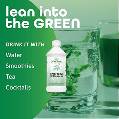 Dynamic Health Liquid Chlorophyll Unflavored 100 Mg Sodium Copper Chlorophyllins With Alfalfa And Mulberry Leaves Plant Cleanse And Deodorizing No Added Sugar 16 Fl Oz