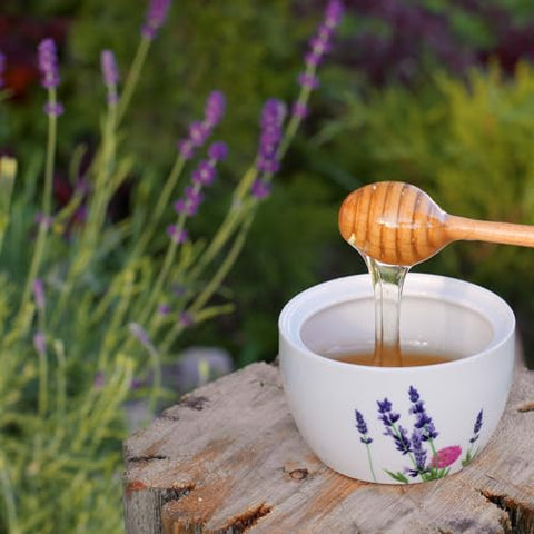 Lavender Honey - Infused Honey with Real Lavender - Clean Simple Syrup for Coffee, Tea, Matcha - 16 oz