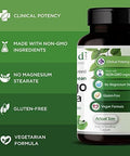 Emerald Labs Ginkgo Biloba Extract - Brain Health Supplement - Antioxidant & Energy Support - 60 Vegetable Capsules (30-Day Supply)