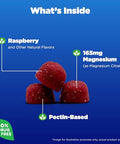 Natrol Magnesium Citrate High Absorption Magnesium Supplement For Mood And Stress Helps Calm The Mind And Relax The Body 60 Raspberry-Flavored Gummies Up To A 30 Day Supply