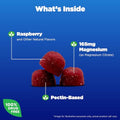 Natrol Magnesium Citrate High Absorption Magnesium Supplement For Mood And Stress Helps Calm The Mind And Relax The Body 60 Raspberry-Flavored Gummies Up To A 30 Day Supply