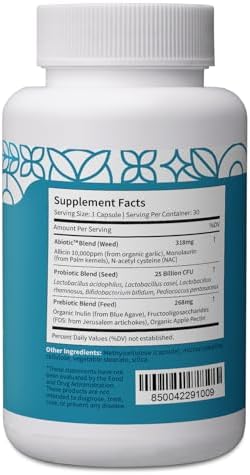 Pattern Wellness Gut Support Supplement - Digestive Support - Probiotic + Prebiotic Blend - Vegan Non-Gmo - 3Rd Party Lab Tested - 30 Capsules