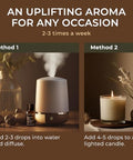 Gya Labs Cinnamon Bark & Lavender Essential Oil For Diffuser Set 034 Fl Oz
