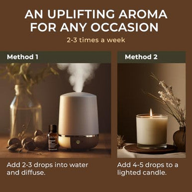 Gya Labs Cinnamon Bark & Lavender Essential Oil For Diffuser Set 034 Fl Oz
