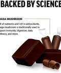 Force Factor Modern Mushrooms Soft Chews Chaga Mushrooms Supplement To Support Immunity Digestion & Gut Health Antioxidants Supplement Delicious Chewy Chocolate Roll Flavor 30 Soft Chews