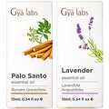 Gya Labs Palo Santo Essential Oil For Diffuser & Lavender Oil Essential Oil For Diffuser Set - Aromatherapy Grade Essential Oils Set - 2X10Ml - Gya Labs