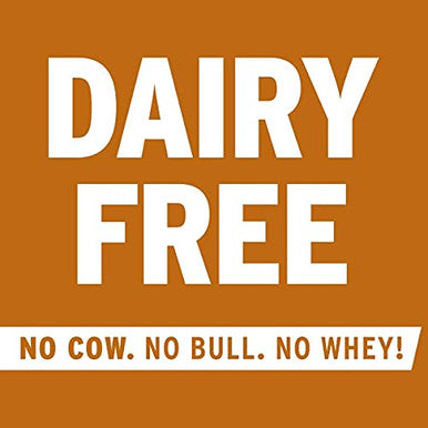 No Cow Protein Bar Chocolate Fudge Brownie