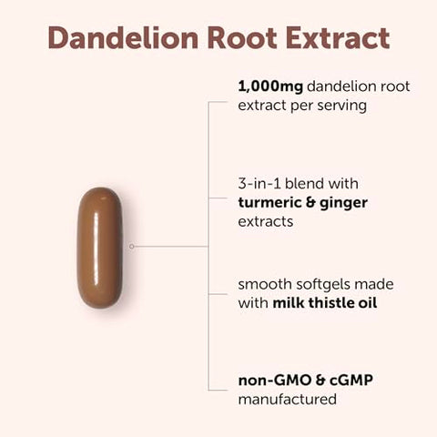 Micro Ingredients Dandelion Root Extract (Taraxacum Officinale) 1000Mg Per Serving 240 Softgels 3-In-1 Herbal Blend With Turmeric & Ginger Extract Made With Milk Thistle Oil Non-Gmo