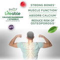 Lifeable Calcium Magnesium Zinc With Vitamin D3 Gummies Great Tasting Calcium Magnesium Zinc D3 Supplement For Tooth And Bone Health Calcium Gummies For Adults 90 Gummies