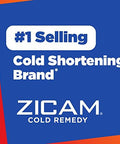 Zicam Cold Remedy Zinc Rapidmelts, Citrus Flavor, 25 Count (Pack Of 1)