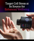 Mitoq +Balance Sensoril Ashwagandha Rhodiola & Maritime Support Balanced Cortisol Levels Stress Management Restorative Sleep & Cell Health (60 Capsules)