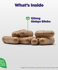 Natrol Brain Health Ginkgo Biloba 120Mg Dietary Supplement For Brain Health And Memory Support 60 Capsules 60 Day Supply