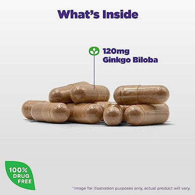 Natrol Brain Health Ginkgo Biloba 120Mg Dietary Supplement For Brain Health And Memory Support 60 Capsules 60 Day Supply