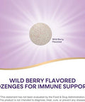 Nature'S Way Zinc Lozenges With Vitamin C & Echinacea, Immune Support, 23 Mg Of Zinc & 100 Mg Of Vitamin C Per Serving, Wild Berry Flavored, 60 Lozenges (Packaging May Vary)