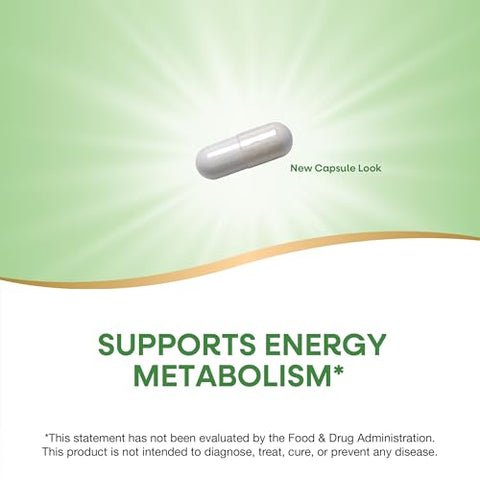 Nature'S Way 7-Keto Dhea Metabolite Supports Energy Metabolism 25 Mg Potency Per Serving Gluten Free Vegan 60 Capsules (Packaging May Vary)