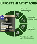 Nad+ Liposomal Nicotinamide Riboside With Resveratrol & Quercetin Nad+ Premium Supplement For Anti-Aging, Enhanced Energy, Improved Focus, Cellular Support 80 High-Purity Capsules-900Mg