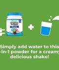 Orgain Organic Vegan Protein Powder + Oat Milk Vanilla Bean 20G Plant Based Protein Gluten No Dairy Soy Or Lactose Ingredients Low Sugar Nongmo Kosher For Shakes & Smoothies 1.05Lb