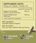 HERBAMAMA Sea Moss and Beet Root Kit Bundle of 1600 mg Sea Moss with Bladderwrack and 21: 1 Concentrate Beet Root Capsules Vegan NonGMO GelatinFree 2 Pack