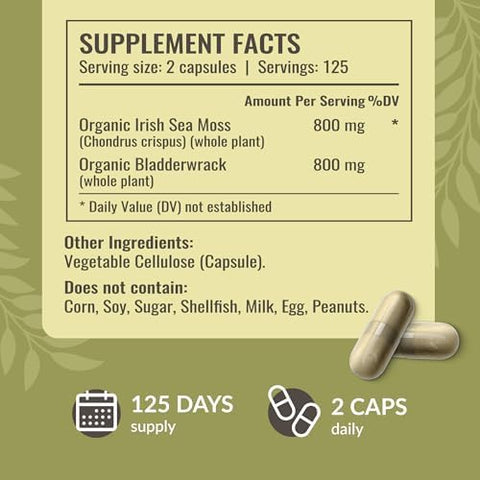 Herbamama Sea Moss And Beet Root Kit - Bundle Of 1600 Mg Sea Moss With Bladderwrack And 21:1 Concentrate Beet Root Capsules - Vegan Non-Gmo Gelatin- - 2 Pack