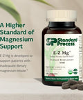 Standard Process EZ Mg Central Nervous System Health Supplement Contains Magnesium Iron and Vitamin K1 Aids Sleep Pathways GlutenFree NonDairy and NonSoy 180 Tablets (30 Servings)