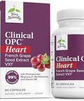 Terry Naturally Clinical Opc Heart Heart Health Supplement With Magnesium Vitamin B6 Grape Seed Extract Dietary Supplement For Artery Health & Circulation 60 Capsules