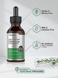 Horbaach Echinacea Drops Herb Tincture 2 Fl Oz