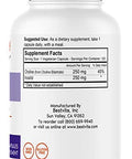 Choline Inositol 500mg (240 Vegetarian Capsules) (120 x 2) - No Stearates - No Dicalcium Phosphate - No Fillers - Vegan - Non GMO - Gluten Free