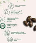 Micro Ingredients Lions Mane With Omega-3 Epa Dha & Phosphatidylserine 240 Softgels With Mct Oil For Better Absorption Fruiting Body & Mycelium Superfood Mushroom Extract Lemon Flavored
