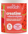 Wellah Creatine Electrolytes Powder (Watermelon Slush) 30 Servings - Hydration Drink Mix With 3G Of Creatine Monohydrate