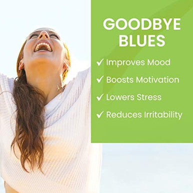 Himalaya Hello Joy Herbal Supplement With Ashwagandha Amla Bacopa Holy Basil/Tulsi Positive Outlook Supports Motivation Stress Relief Balanced Cortisol Nongmo Vegan 60 Capsules