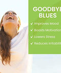 Himalaya Hello Joy With Ashwagandha For Improving Mood And Spirits & Himalaya Hello Alert Mind With Bacopa For Energy Focus & Attention Herbal Supplement 60 Capsules Each