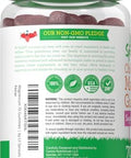 Lil' Sprouts Children's Magnesium Gummies 70 Count Mixed Berry Flavor Sugar Free Vegan NonGMO and Gluten Free