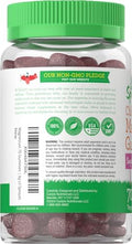 Lil' Sprouts Children's Magnesium Gummies 70 Count Mixed Berry Flavor Sugar Free Vegan NonGMO and Gluten Free