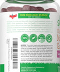Lil' Sprouts Children's Magnesium Gummies 70 Count