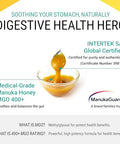 ManukaGuardÃ‚Â® Medical Grade Manuka Honey MGO 400+ | 100% Authentic New Zealand Manuka Honey | Healing Honey for Immunity Boost | 8.8 oz