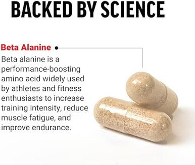 Force Factor Beta Alanine Capsules Betaalanine Endurance Supplement To Boost Performance & Reduce Fatigue Clinical Dose Premium Quality Vegan Nongmo 120 Capsules