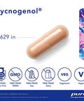 Pure Encapsulations Pycnogenol 100 mg 60 vegcaps