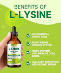 Lamginy L-Lysine 1000Mg Supplement Liposomal Lysine Liquid Drops For Adults Essential Amino Acid - Immune Support Skin & Lip Health Collagen Synthesis Vegan Non-Gmo & Gluten-Free 4 Fl Oz