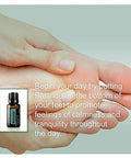 Doterra Balance Grounding Blend 15Ml (2 Pack)