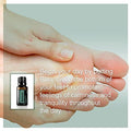 Doterra Balance Grounding Blend 15Ml (2 Pack)