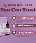 Maryruth's Organic Irish Sea Moss Liquid Drops 1 Fl Oz