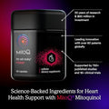 Mitoq +Heart Premium Coq10 Antioxidant - Contains Mitoquinol Mesylate Magnesium L-Carnitine & Vitamin D3 - Supports Cardiovascular And Circulatory Health & Cell Vitality (60 Capsules)