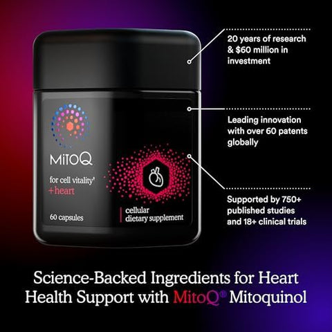 Mitoq +Heart Premium Coq10 Antioxidant - Contains Mitoquinol Mesylate Magnesium L-Carnitine & Vitamin D3 - Supports Cardiovascular And Circulatory Health & Cell Vitality (60 Capsules)